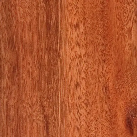 Red Ironbark