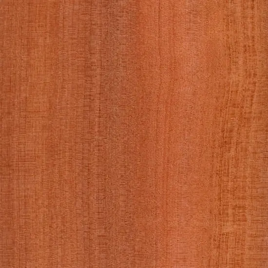 Tasmanian Myrtle